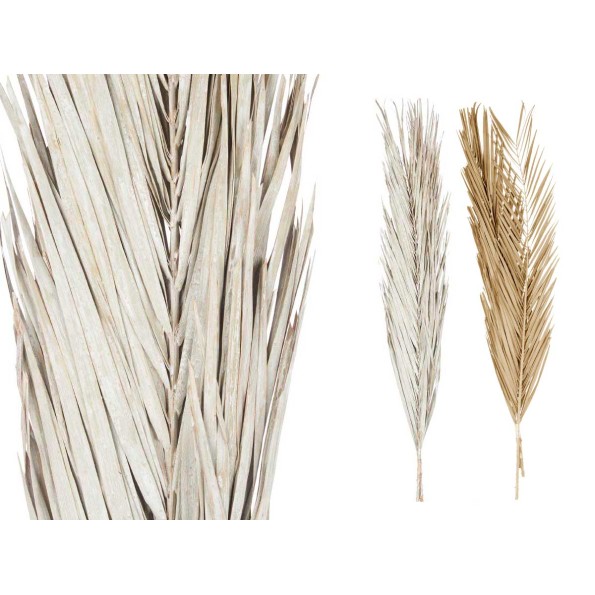 RAMILLETE HOJAS PALMERA SURT BLANCO Y NATURAL