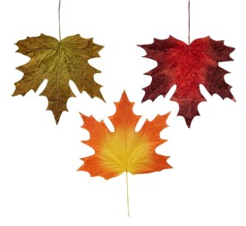 HOJA DE ARCE 3 MIX COL 80X101