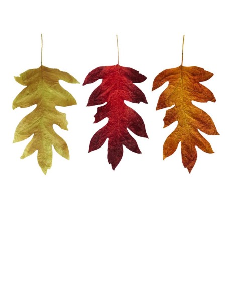 HOJA DE ARCE EXTENDIDA 3 MIX COL 52X101