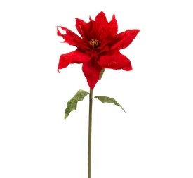 FLOR DE PASCUA TERCIOPELO ROJO 72X72 H150