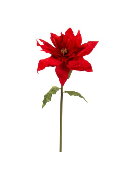 FLOR DE PASCUA TERCIOPELO ROJO 72X72 H150