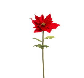 FLOR DE PASCUA TERCIOPELO ROJO 55X55 H120