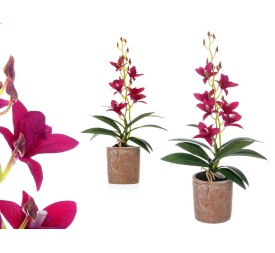 MACETA TERRACOTA FLOR MORADA