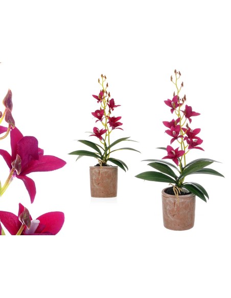 MACETA TERRACOTA FLOR MORADA