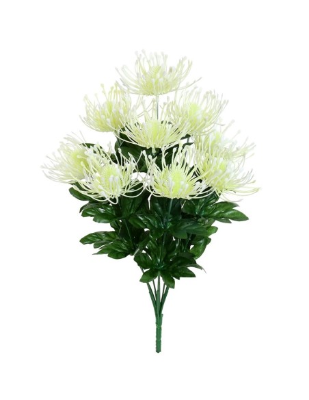 RAMO LEUCOSPERMUM X 9-45 CM (BLANCO)