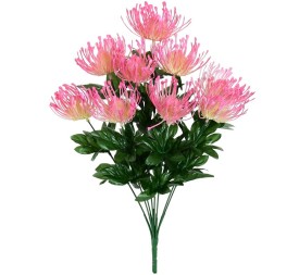 RAMO LEUCOSPERMUM X9-45CM (