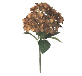 RAMO HYDRANGEAS-& MARRON (