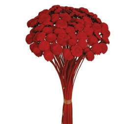 PALI PALA PRESS 50 cms. ROJO (54)