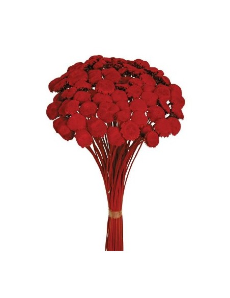 PALI PALA PRESS 50 cms. ROJO (54)