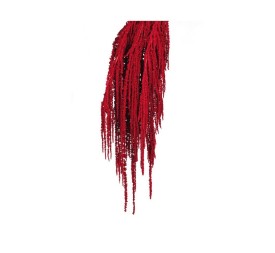 AMARANTHUS CAUDATUS PRES. 50/80 cms. ROJO (54)