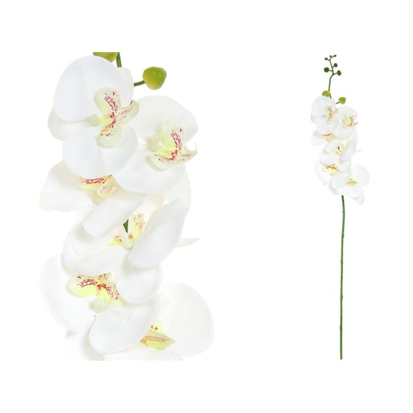 VARA ORQUIDEA R/TOUCH (S)X 6 -76 CM (BL)