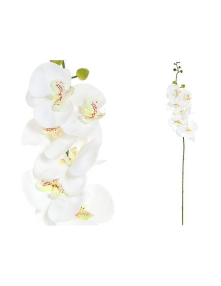 VARA ORQUIDEA R/TOUCH (S)X 6 -76 CM (BL)