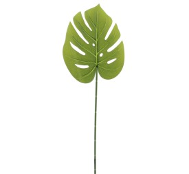 MONSTERA (4233-09)