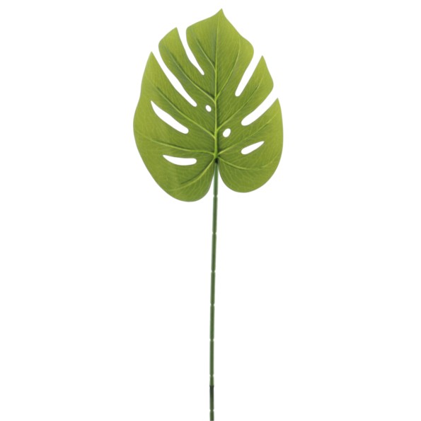 MONSTERA (4233-09)