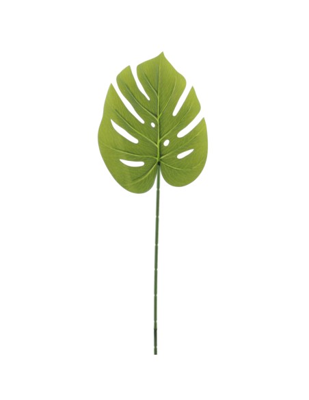 MONSTERA (4233-09)