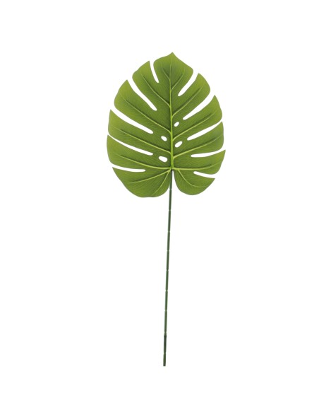 MONSTERA 76 CMS (4234-09)