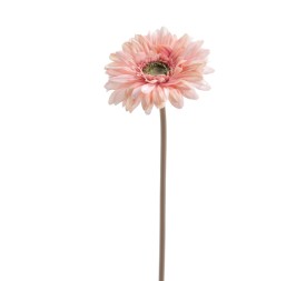 GERBERA (6955-12)
