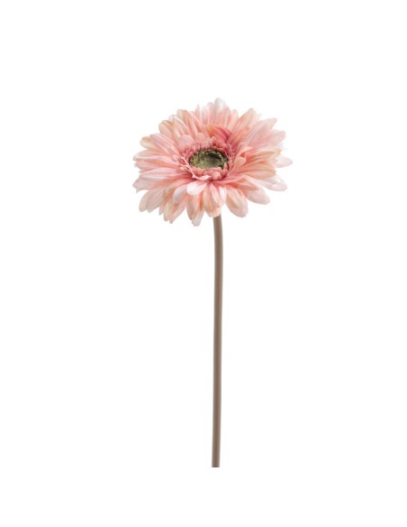 GERBERA (6955-12)