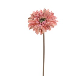 GERBERA (6955-24)