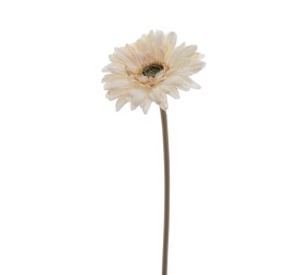 GERBERA 48 CMS (6955-31)