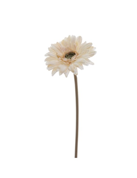 GERBERA 48 CMS (6955-31)