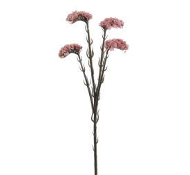 STATIS 64 CMS (6961-12)