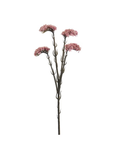 STATIS 64 CMS (6961-12)