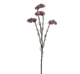 STATIS 64 CMS (6961-16)