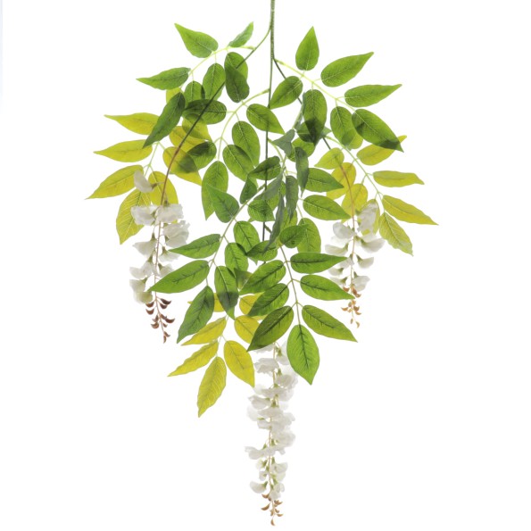 WISTERIA 90 CMS (2101-11)