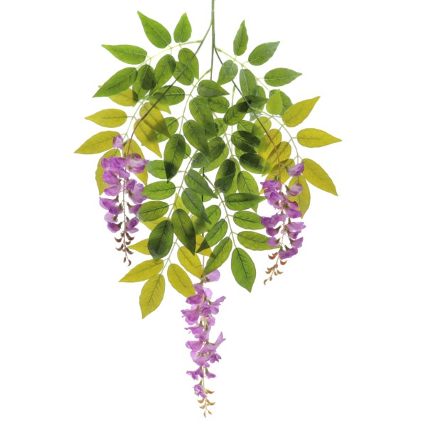 WISTERIA 90 CMS (2101-25)