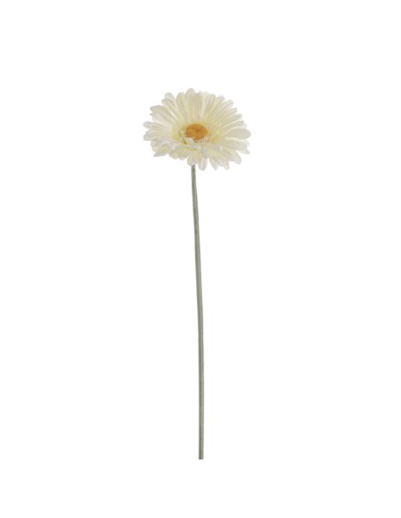 GERBERA (2288-01)