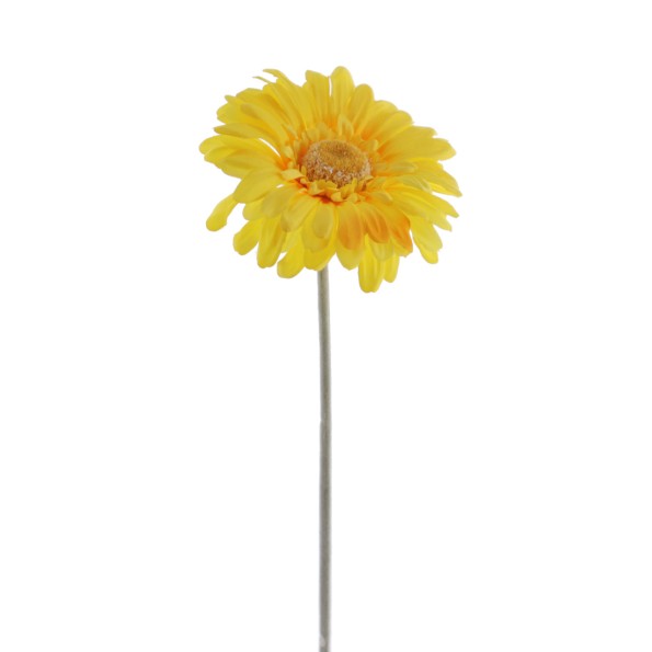 GERBERA (2288-02)