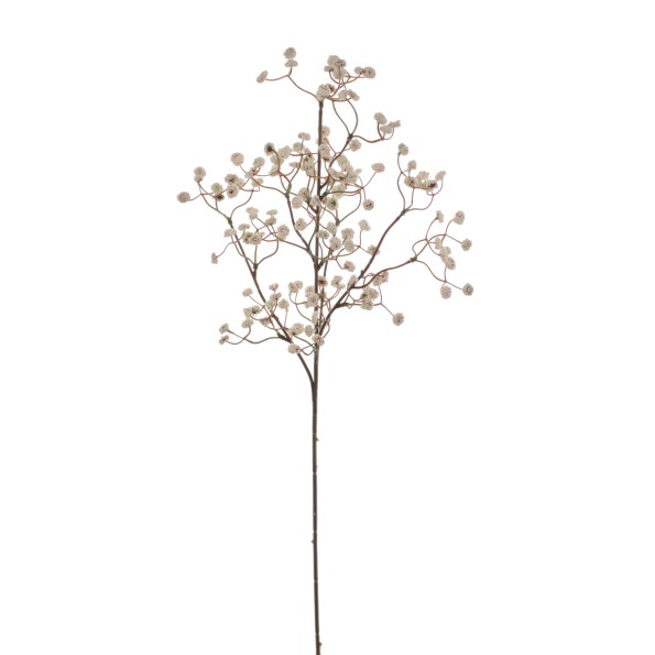 GYPSOPHILA ELEGANS 62 CMS (2393-01)