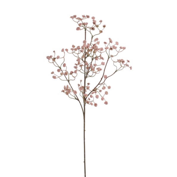 GYPSOPHILA ELEGANS 62 CMS (2393-12)