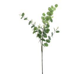 EUCALYPTUS (4345-09)