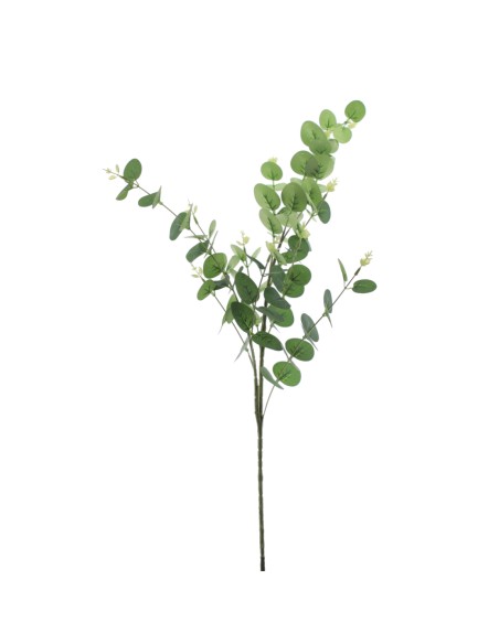 EUCALYPTUS (4345-09)