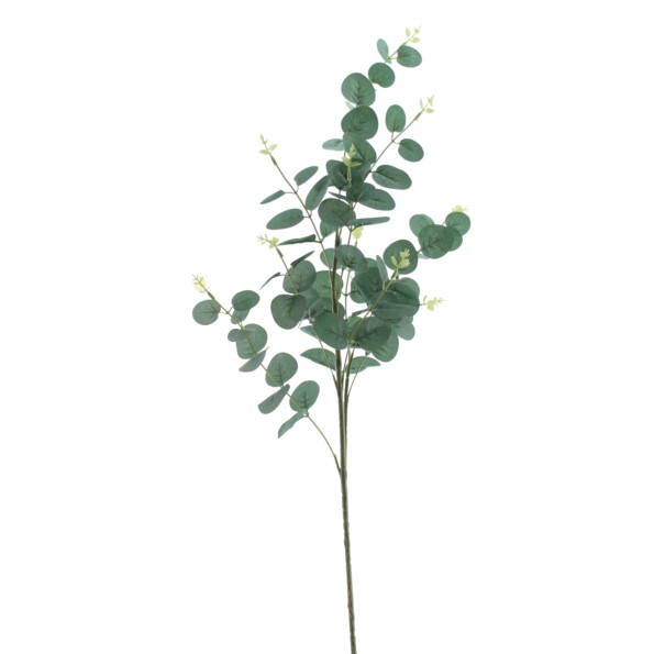 EUCALYPTUS (4345-22)