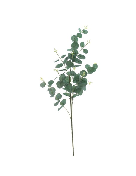 EUCALYPTUS (4345-22)