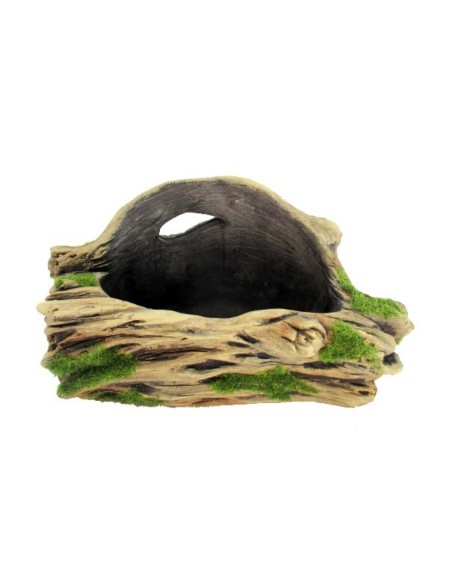 MACETERO RAIZ PLANA M CACTUS