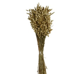 BRIZA MAXIMA 50 cms. NATURAL (01)