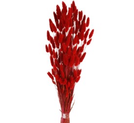 LAGURUS 60 cms. ROJO (59)
