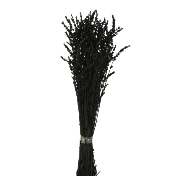 LAVANDA PRESS 45 CMS NEGRO(99)