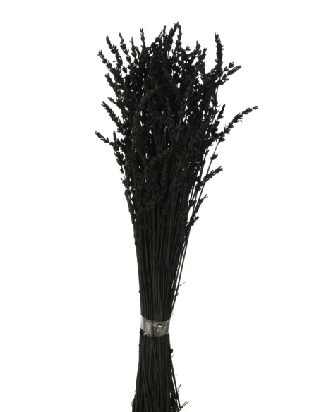 LAVANDA PRESS 45 CMS NEGRO(99)