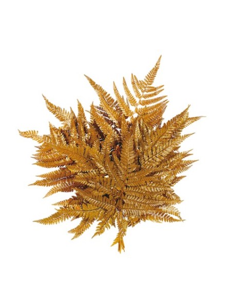 HELECHO CUERO PRESS 40 cms. AMARILLO (16)