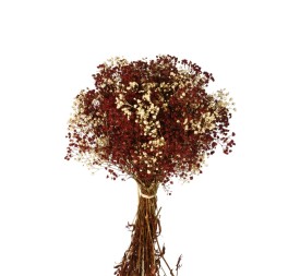 MAZO PANICULATA 25/30 cms. x 40/50 cms. ROJO (57)
