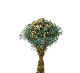 MAZO PANICULATA 25/30 cms. x 40/50 cms. (70) AZUL
