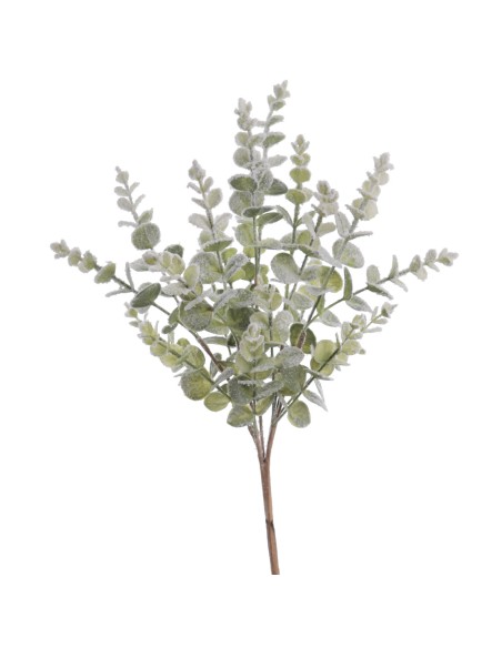 EUCALYPTUS COLECCIÓN SNOW (NAV4657-09)