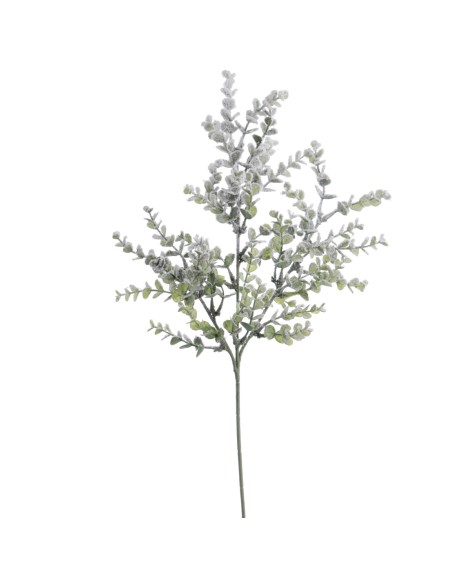 EUCALYPTUS MINI COLECCIÓN SNOW (NAV4658-09)