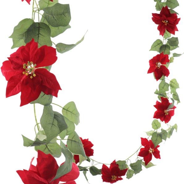 GUIRNALDA POINSENTIA 180 CMS