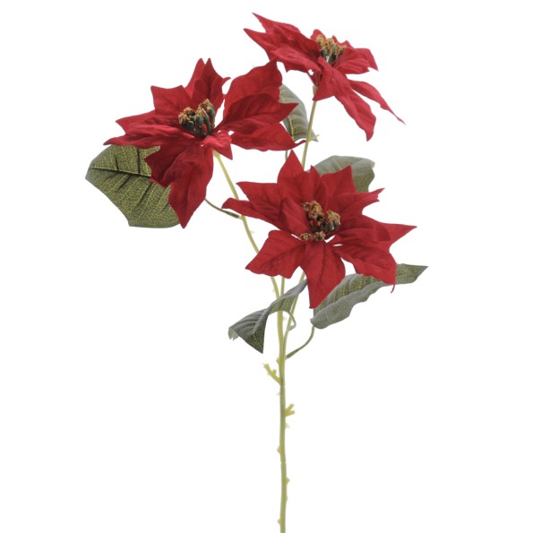 POINSETTIA X 3 (ZND922-08)